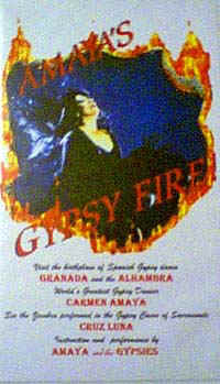VGypFire.jpg (23653 bytes)